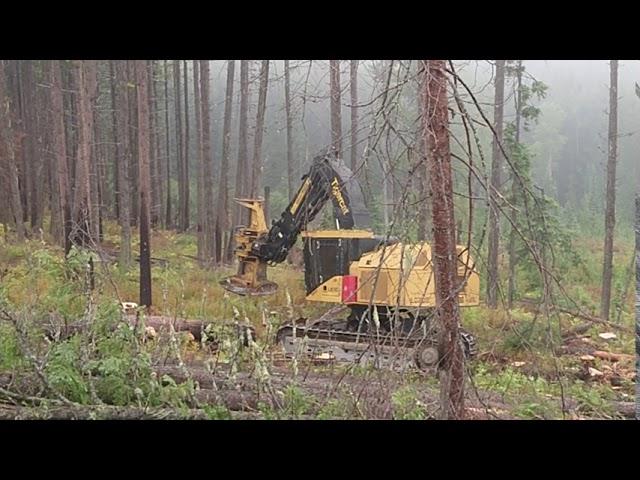 Tigercat Feller Buncher with tilt system (CB307)