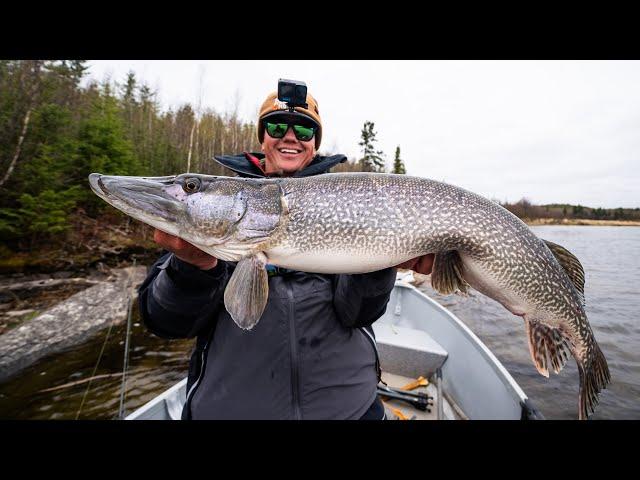 Giant Canadian Pike