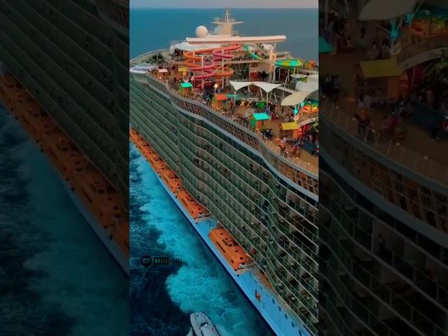 Wow !!  It's Magnificent: Royal Caribbean Cruisers #shorts #viral #trending  #royalcaribbean