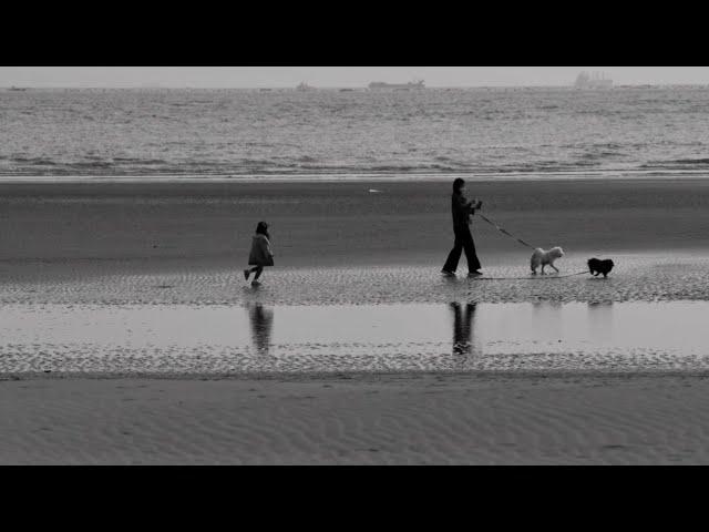 Dadaepo Beach, where the sunset and ecological environment are alive.Busan South Korea.20.04.01