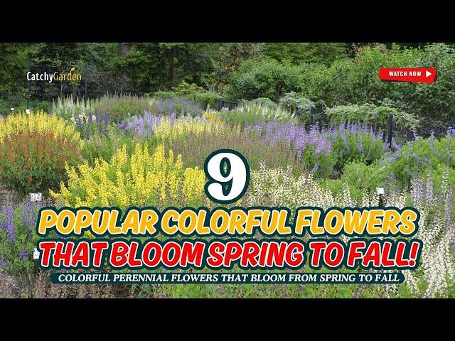 9 COLORFUL FLOWERS THAT BLOOM SPRING TO FALL!  // Gardening Ideas