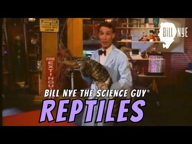 Bill Nye The Science Guy on Reptiles