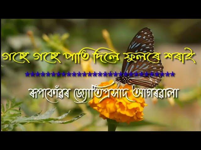 গছে গছে পাতি দিলে ফুলৰে শৰাই ( Gose Gose Pati Dile Fulore Shorai)