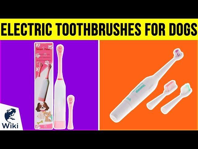 5 Best Electric Toothbrushes For Dogs 2019