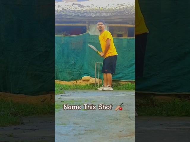 Boundary Or Not , Comment Down Below  #cricket #cricketshorts #nepal #shorts #short #india #skills