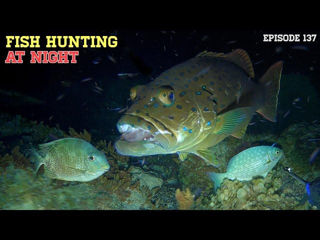 NIGHT SPEARFISHING EPISODE 137 | FISH HUNTING AT NIGHT