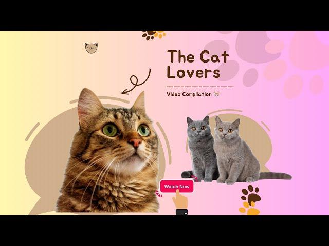 Funny & Cute Cats Compilation  | Cats Videos #shorts