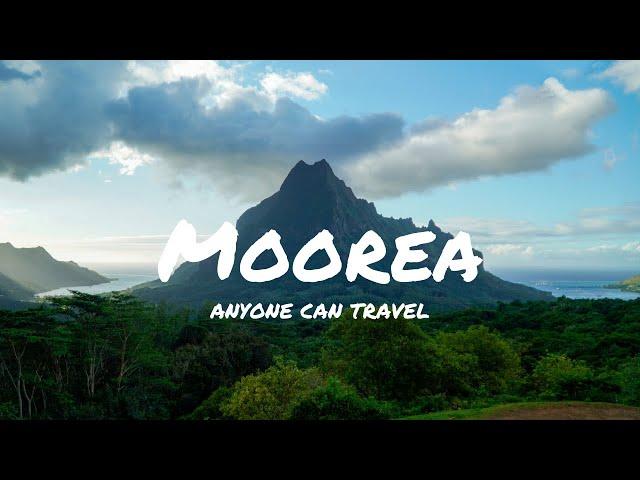 Moorea Tahiti | 5 Fun and (Mostly) Cheap Things to do in Moorea