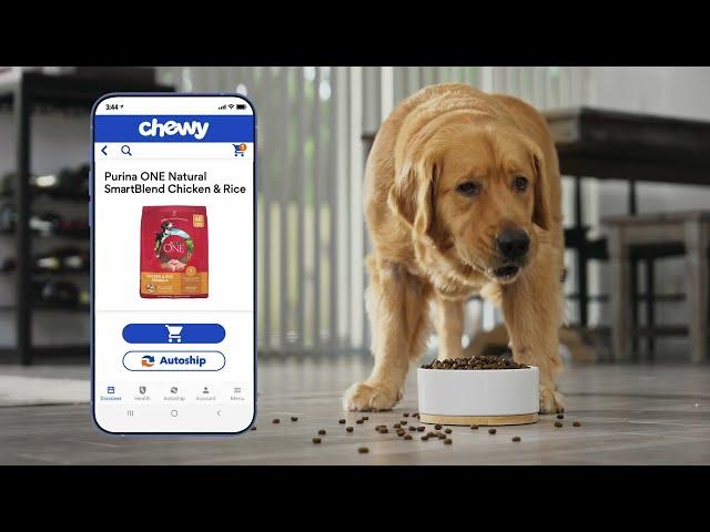 The Chewy App