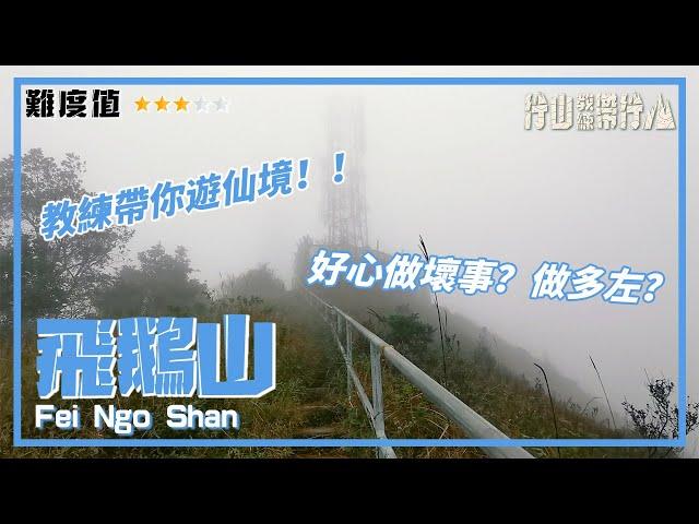 【ENG SUB】飛鵝山｜行山教練帶行山106｜教練帶你遊仙境｜Fei Ngo Shan｜Hiking: Join the PRO 106｜Bring you to Wonderland