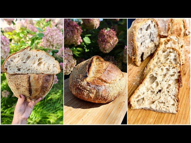 Basic Sourdough Bread for Everyone: A Simple Recipe to Share and Enjoy