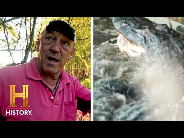 Swamp People: NO GATOR IS SAFE on Cow Island (Season 14)