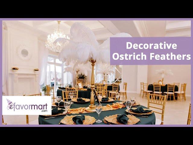 Decorative Ostrich Feathers | eFavormart.com