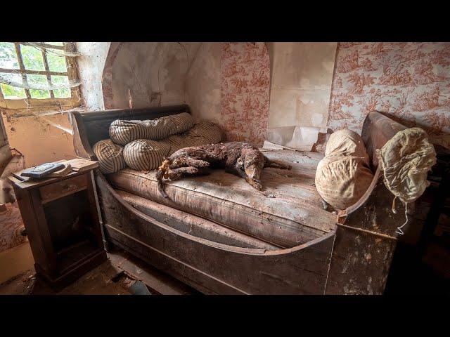 WHAT Happened Here? Abandoned 18th Century Mansion Of a Pharma Family