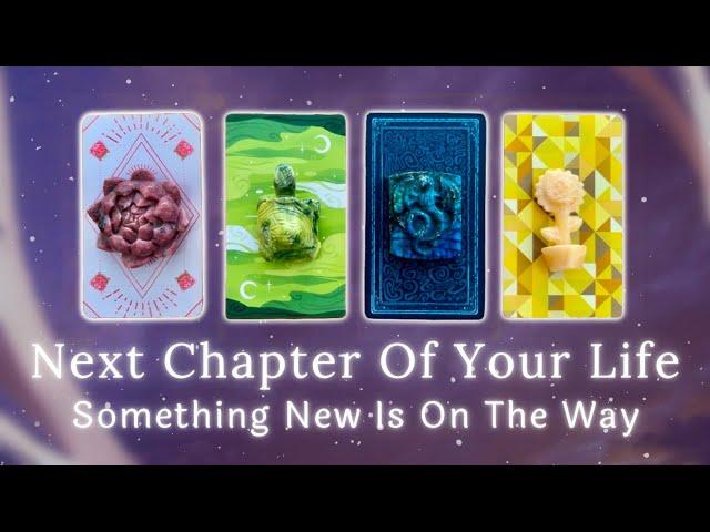 What’s Next in Life?️ Pick a Card Timeless In-Depth Tarot Reading