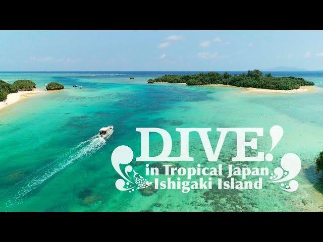 DIVE IN ISHIGAKI | What to do in Ishigaki | Dive in tropical Japan