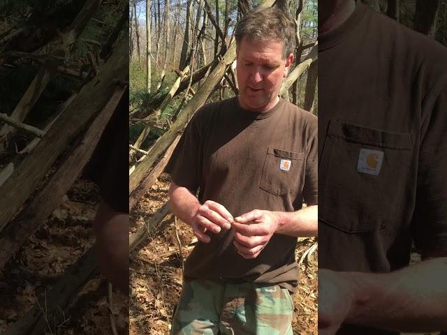 Man eats grub you’ll NEVER guess what happened