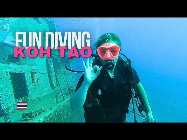 30 Days of FUN DIVING in Koh Tao  After a 10-Year Break