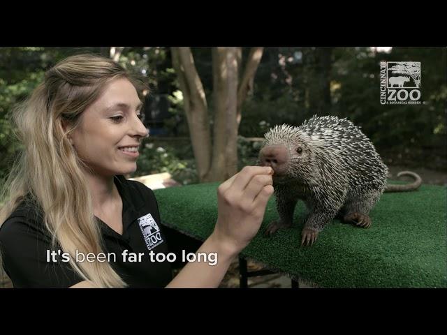 Cincinnati Zoo & Botanical Garden Ready to Open