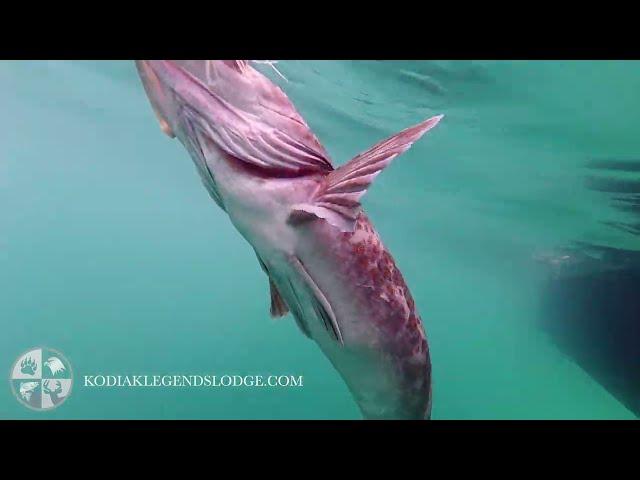Kodiak Legends Lodge