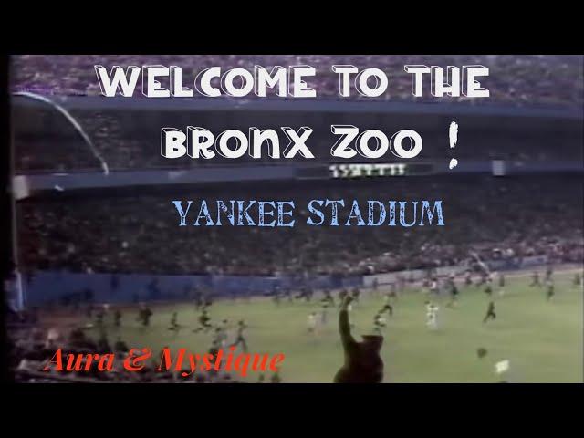 Welcome to the Bronx Zoo! (Yankee Stadium Mayhem!) *1995-Present*