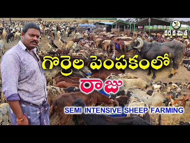 గొర్రెల పెంపకంలో యువరైతు జయభేరి || Success Story of Semi Intensive Sheep farming || Karshaka Mitra