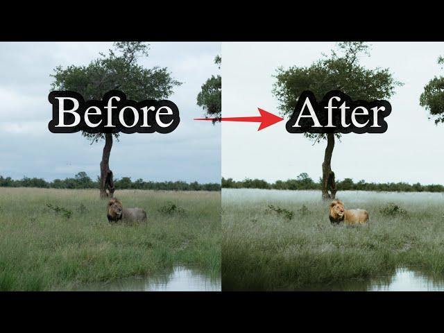 How to Get the PERFECT Edit @ricardobrazb  - Lightroom Photo Editing Tutorial For Instagram