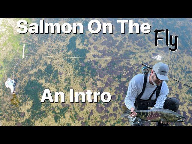 An Introduction to Salmon on The Fly - Salmon Fly Fishing - (No Flossing!)