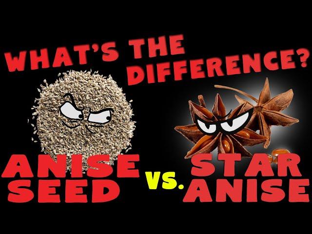 Anise Seed vs Star Anise: What is the Difference?