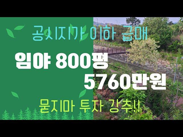 5,760만원 초급매 800평 임야(거래완료)