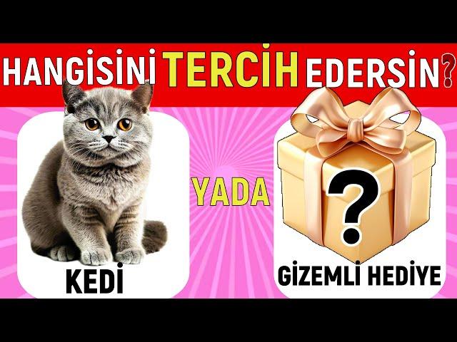 Seçimini Yap Gizemli Kutu Oyunu Seç Bakalım