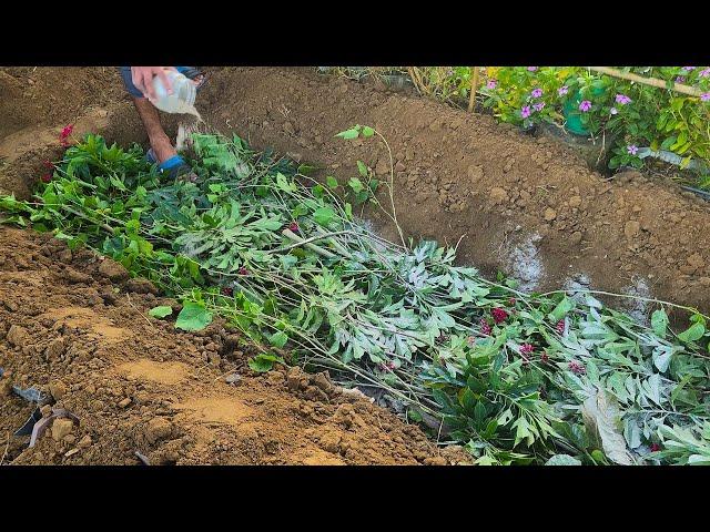 Build a Water-Retaining Garden Bed That FEEDS Your Plants for YEARS