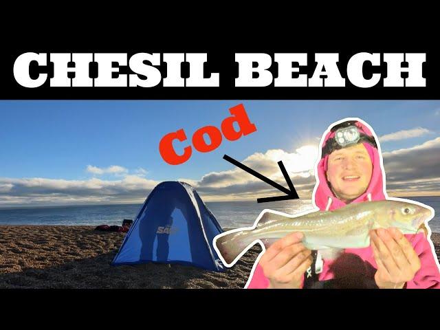 Chesil Beach COD FISHING | Abbotsbury 2024 | Sea Fishing UK