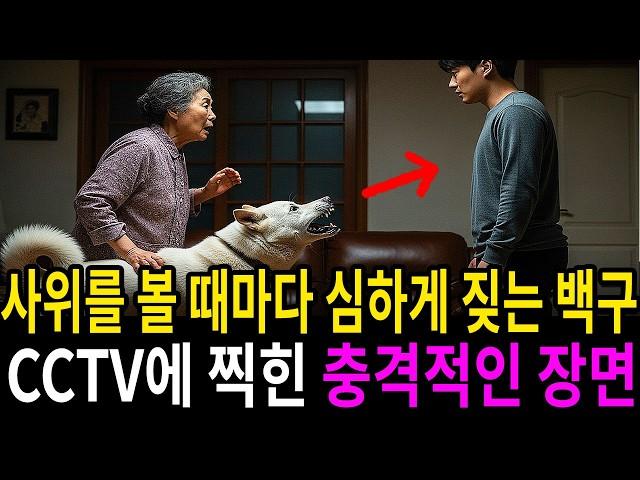 백구가 사위를 볼 때마다 심하게 짖는 데...CCTV에 찍힌 충격적인 장면