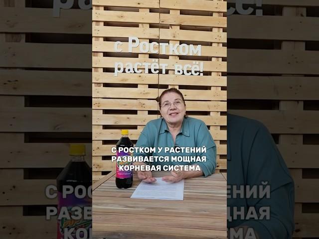 Мощная корневая система растений