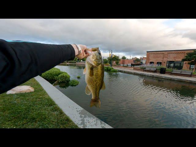 Urban Fishing in Frederick Maryland