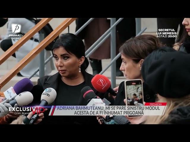 Adriana Bahmuteanu a cerut incredintarea copiilor