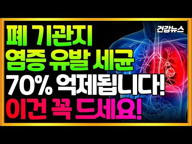 폐 기관지 염증 유발 세균! 70% 억제됩니다! 이건 꼭 드세요!