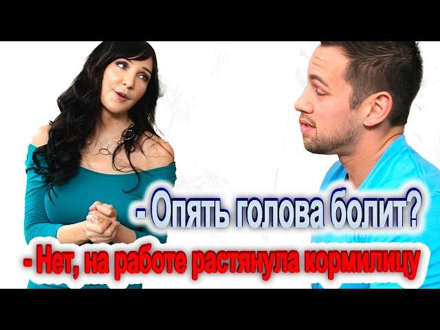 Обезьяньи приключения.. Выпуск 26