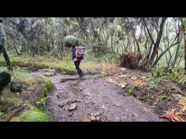 Hiking Techniques on a Steep Climb | Shira Camp | Mount Kilimanjaro | The Roof of Africa | Day 2