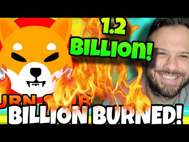 Shiba Inu Coin | SHIB Burns Massive Amount Of Tokens!! Huge SHIB Burn!