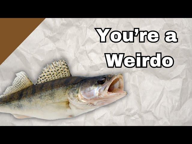 What your Favorite Gamefish says About You - (mostly) Freshwater Edition part 2