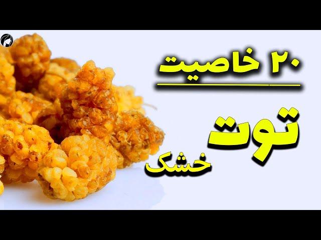 خواص توت خشک با 20 خاصیت آن برای سلامتی و زیبایی