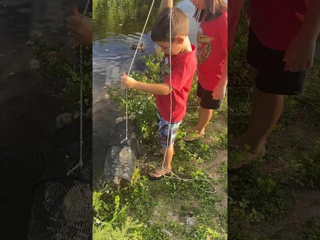 Didn’t think we’d catch fish like this in a creek in Hawaii #hawaiifishing #freshwaterfishing