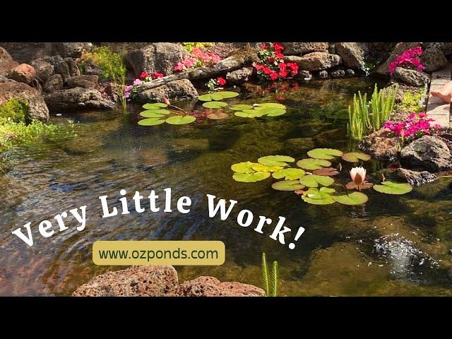 How to clean a pond without draining it