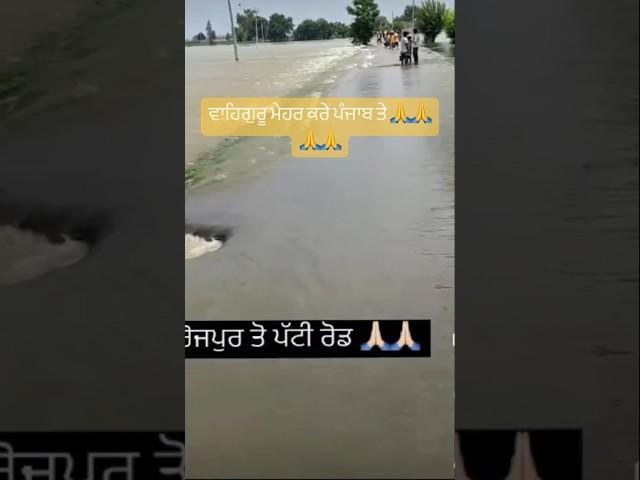 Flood in Punjab #floodinpunjab #viral #viralshort