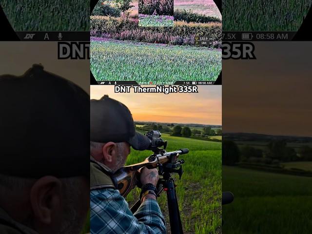The Silent Assassin: Extreme Long Range .22LR Rabbit Hunting With Subsonics | DNT ThermNight 335R
