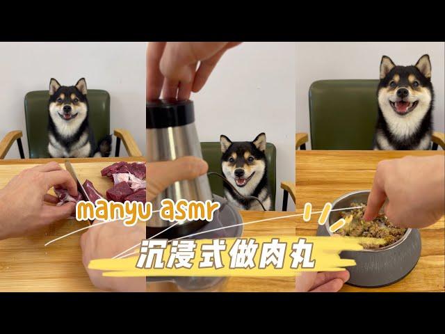 小狗发腮的秘诀是什么？沉浸式制作肉丸ASMR  #柴犬 #豆柴 #抖音 #柴犬可愛い