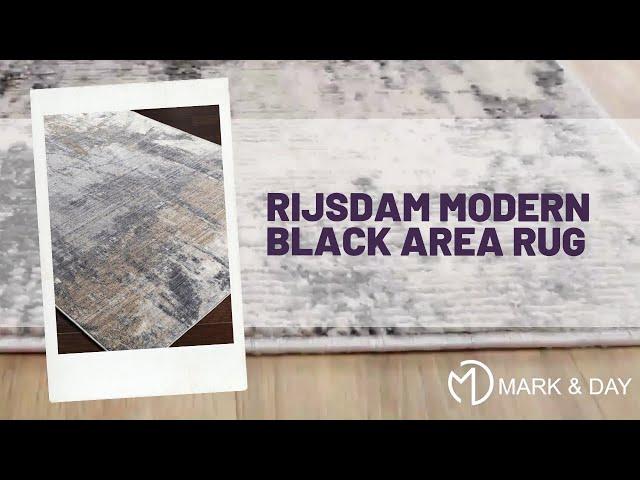 Rijsdam Modern Black Area Rug