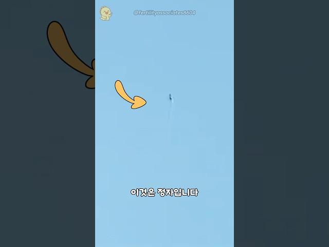 정자와 난자가 만나는 장면